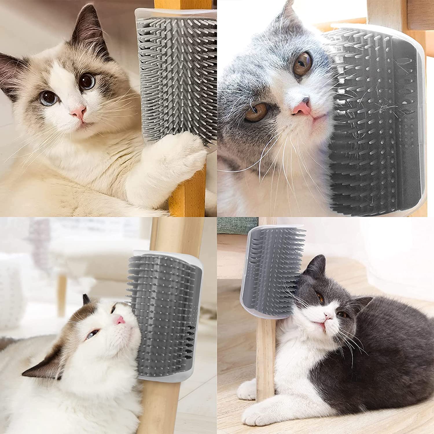 brosse massante pour chat