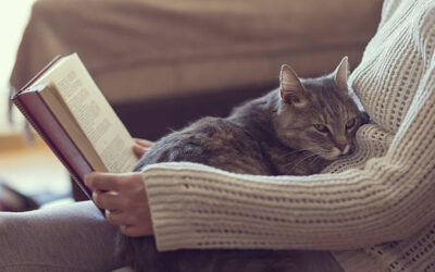 Un peu de lecture sur les chats !