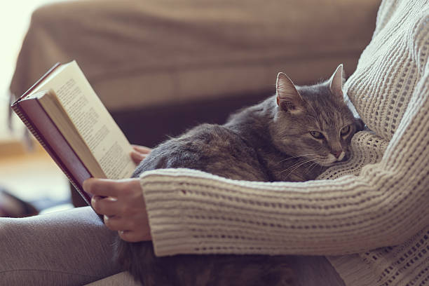 livres recommandés sur les chats