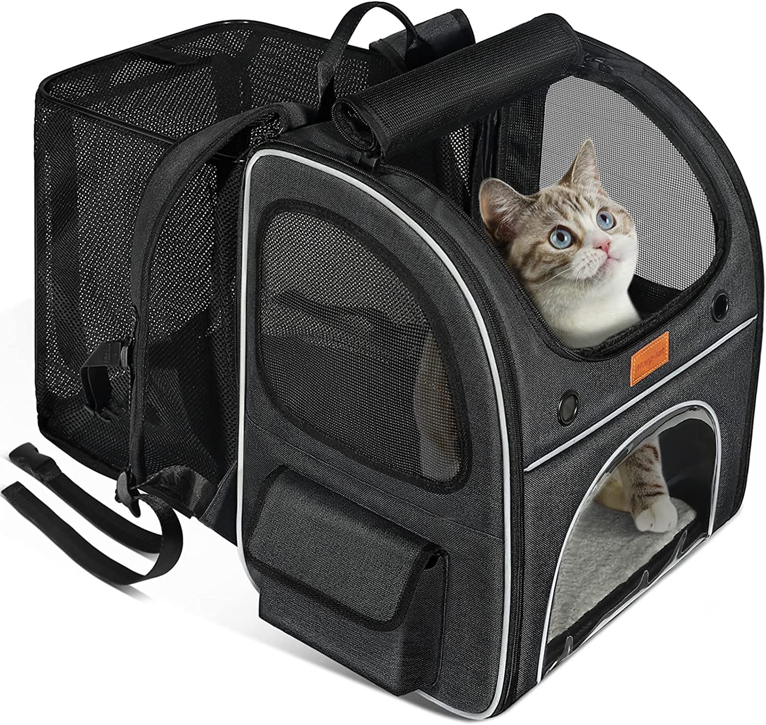 sac à dos de transport pour chat