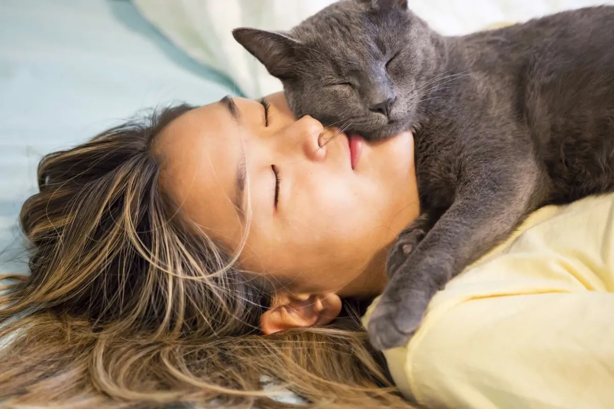 chat dort sur ma tête