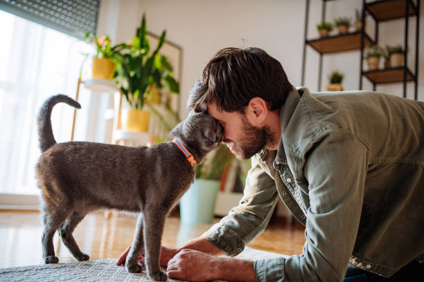 chat heureux