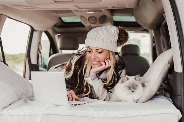 chat voyage en voiture